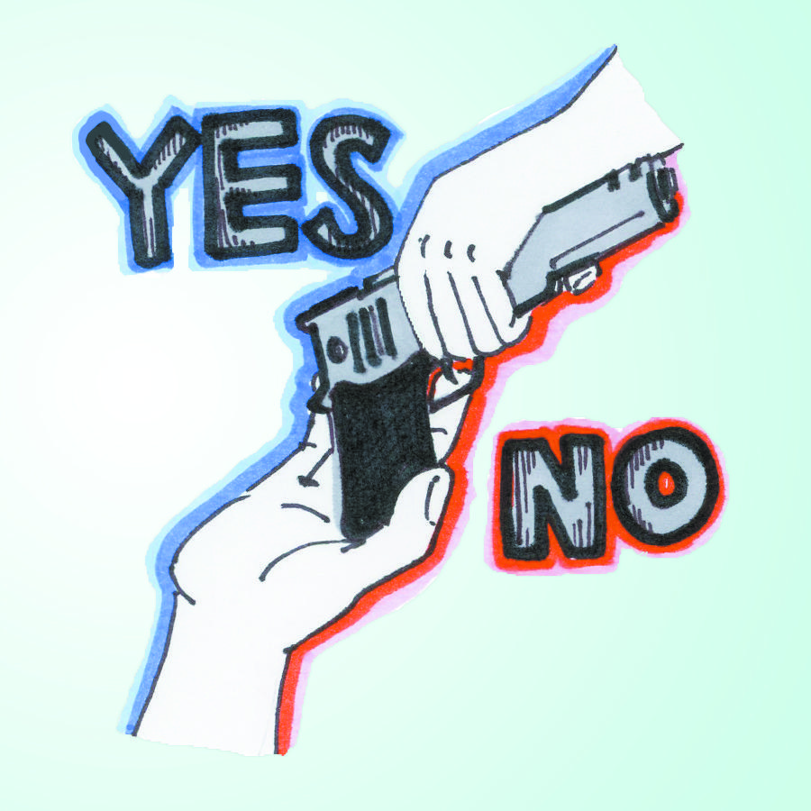 Sandy Hook shooting sparks gun debate