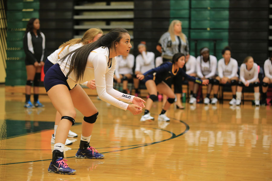 Volleyball team fights to overcome challenges
