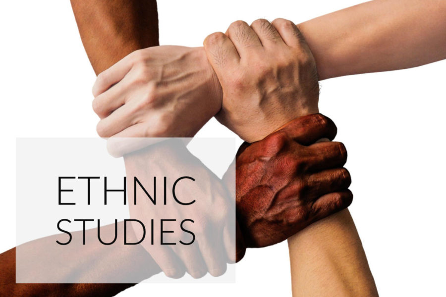 Ethnic studies elective classes offered next year