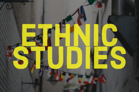 Students learn about cultures in new ethnic studies class