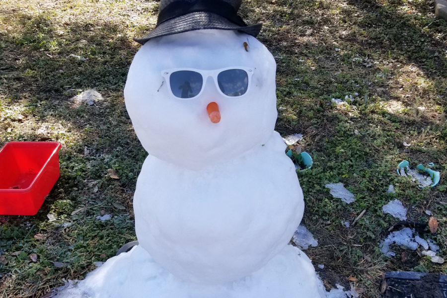 A snowman survives in the shade for a time on Dec. 8, 2017 before succumbing to the Texas heat.