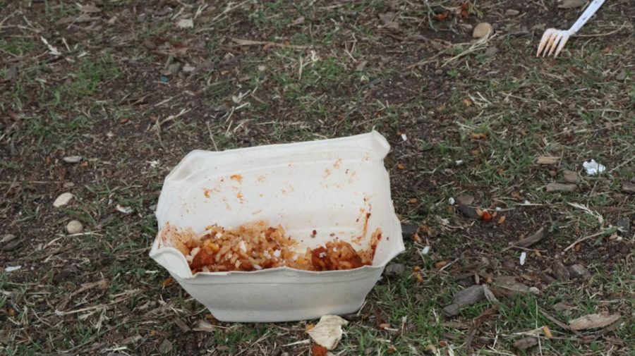 taco bowl just dropped on the floor and never made it to the trash can.