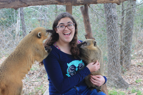 Sophomore Julia Clay a volunteer at the Capitol of Texas zoo in Bastrop holding a small Coatimundi