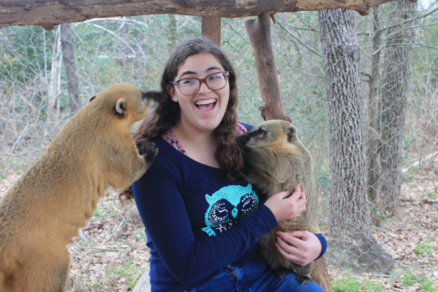 Sophomore+Julia+Clay+a+volunteer+at+the+Capitol+of+Texas+zoo+in+Bastrop+holding+a+small+Coatimundi