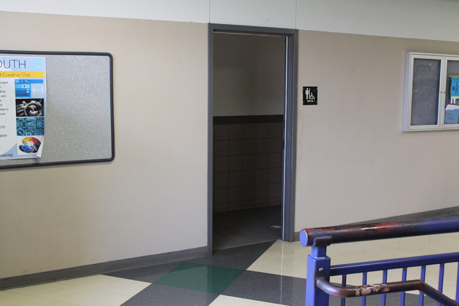 Green hall upstairs bathroom