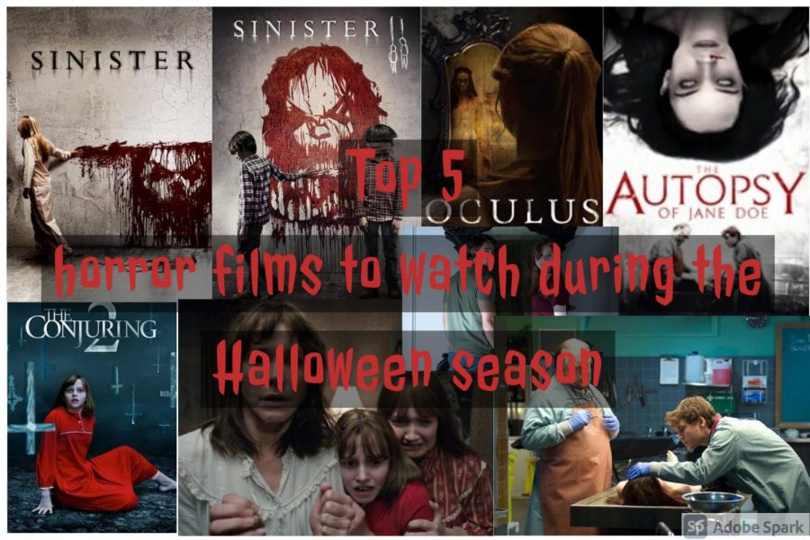 This collage of photos represents each horror movie talked about on this list. These movies are all perfect to watch during the Halloween season to get you into the holiday spirit.