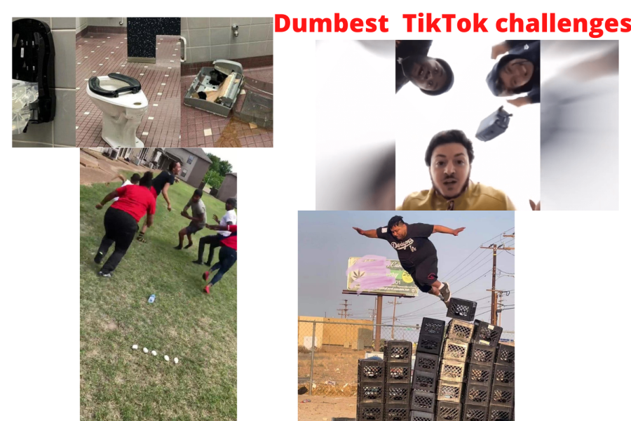 Top 5 Dumbest TikTok Challenges