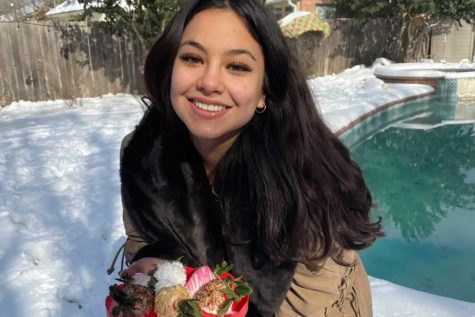 Senior Ana Claudia LeFranc Pierantozzi is the driving force behind Anassugarshop, which bakes treats such as cupcakes, cake pops, cakes, and every once in a while she makes other desserts. Other desserts include chocoflan, cinnamon rolls, and chocolate-covered strawberries.