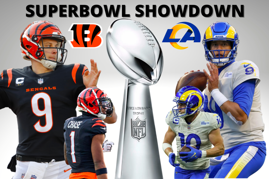 NFL: Whos gonna make the superbowl? – The Eagle's Eye