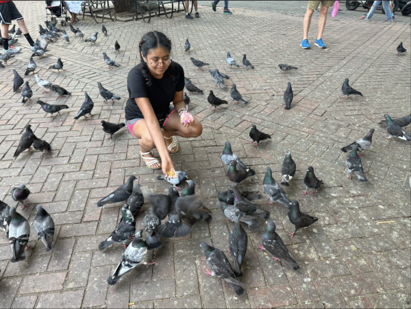 Senior Miriam Perez-Oviedo feeds pigeons at the Dominican Republic.