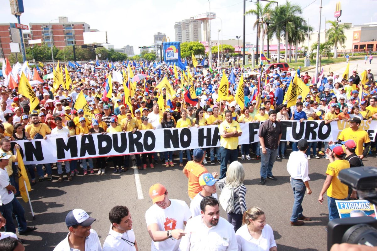 Zulianos march to demand fair conditions for the 2016 recall election.